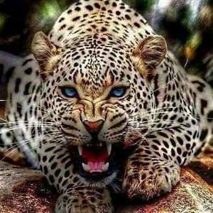 Meet your Posher, Juan manuel